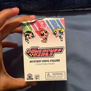 Powerpuff Girls Mystery Vinyl Figure